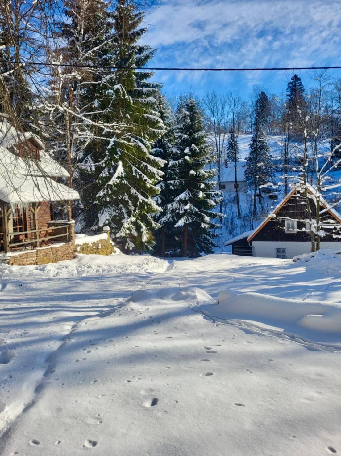 Srub V Bolkovskem Udoli Villa Rudnik ภายนอก รูปภาพ